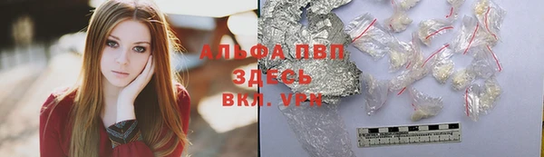 стафф Новозыбков