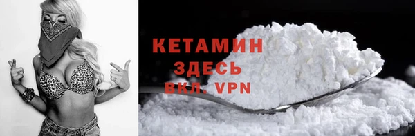 крисы Новодвинск