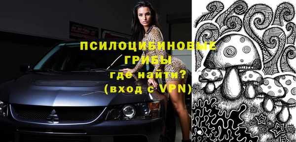 ГАЛЛЮЦИНОГЕННЫЕ ГРИБЫ Абинск