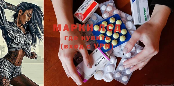 стафф Новозыбков